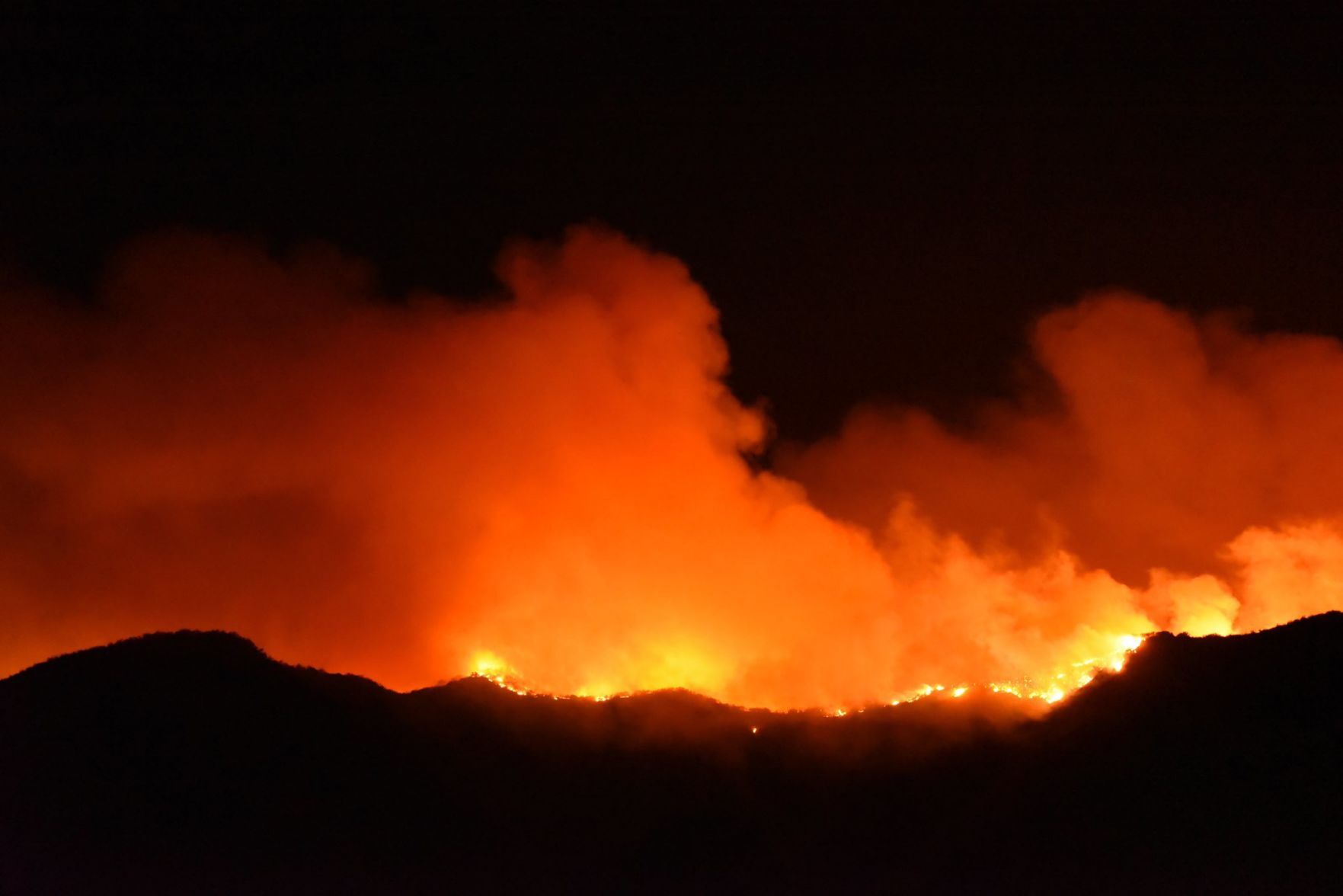 Alisal Fire 7